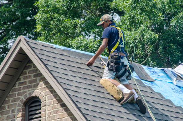 Best Roof Gutter Cleaning  in Elroy, NC